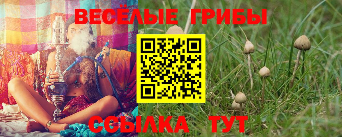 Галлюциногенные грибы Cubensis Норильск